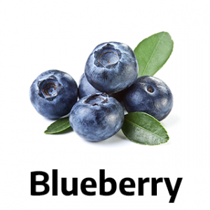 Blueberry fruit