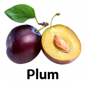 Plum fruit