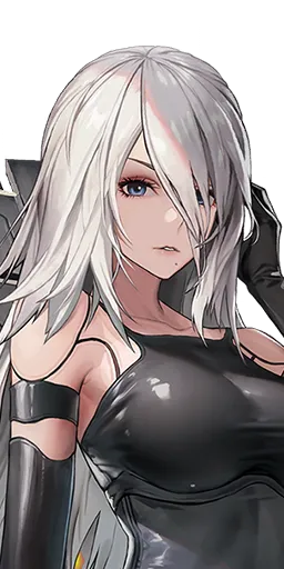 A2