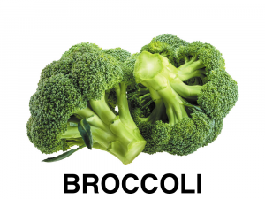 Broccoli
